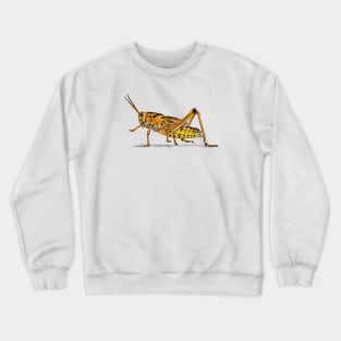 SPRAY SALTAMONTE Crewneck Sweatshirt